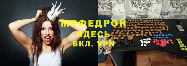 прущие грибы Абаза