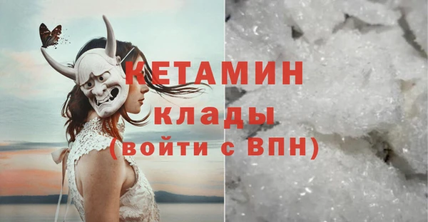 прущие грибы Абаза