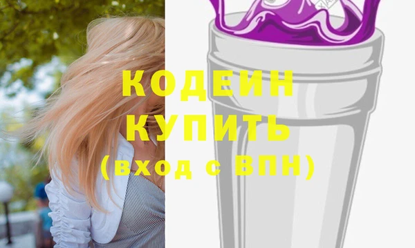 прущие грибы Абаза