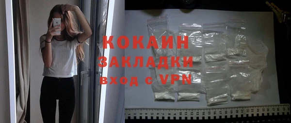 прущие грибы Абаза