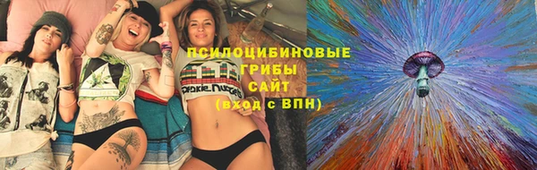 прущие грибы Абаза