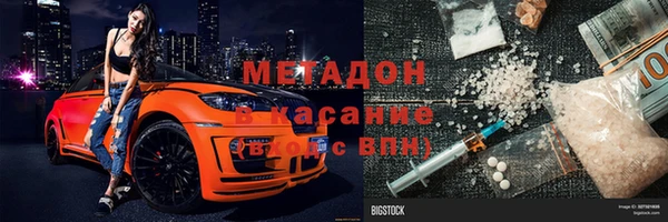 прущие грибы Абаза