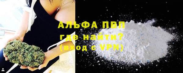 прущие грибы Абаза