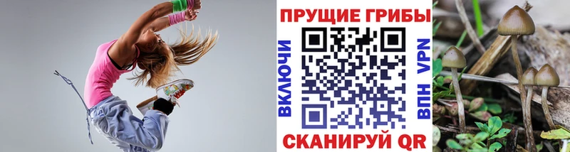 Галлюциногенные грибы MAGIC MUSHROOMS  наркотики  МЕГА рабочий сайт  Серпухов 